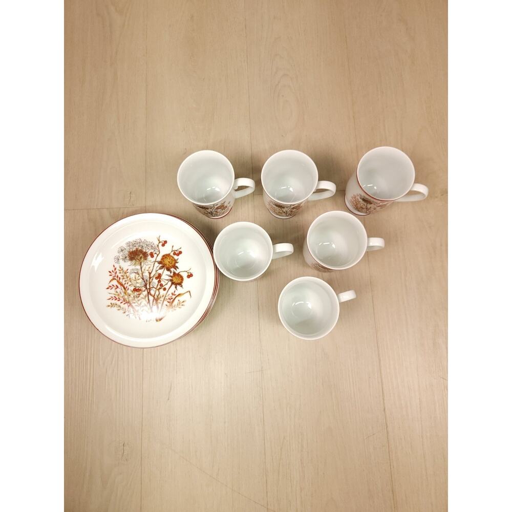 Vintage Bramble Fanci Florals Collection Japan Porcelain Mug & Plate Set Of 6